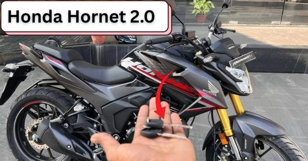 Honda Hornet 2.0